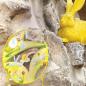 Preview: Baby Mobile, Mobile Hugo Hoppe